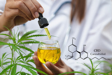 Unveiling the Benefits of Hemp CBD: Everything You Should Know